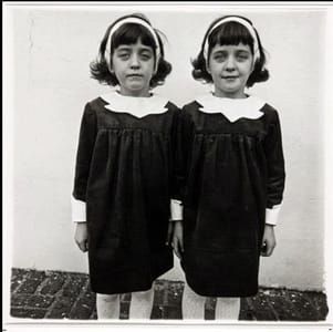 Artwork Title: Identical Twins