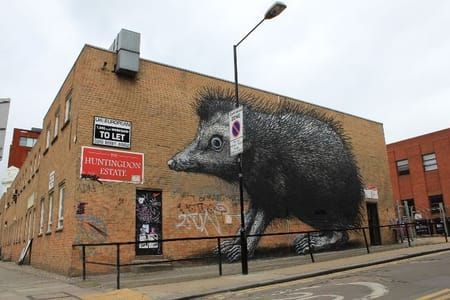 Artwork Title: Hedgehog