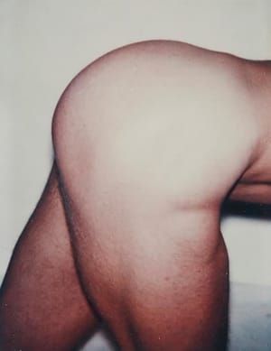 Artwork Title: Torso