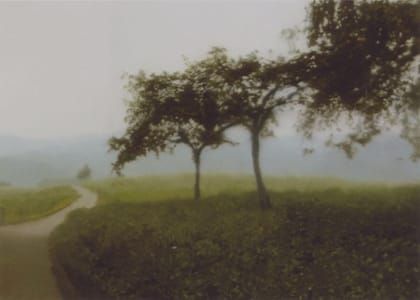 Artwork Title: Untitled