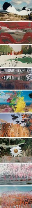 Artwork Title: Overpainted Photographs