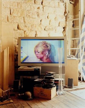 Artwork Title: Paris/Minnesota - Bardot