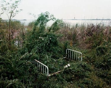 Artwork Title: Sleeping By The Mississippi - Venice