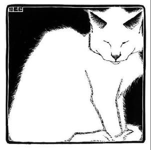 Artwork Title: White Cat