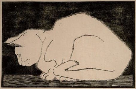 Artwork Title: White Cat