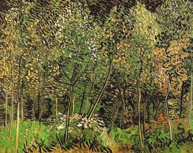 Artwork Title: The Grove