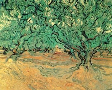 Artwork Title: Olive Trees