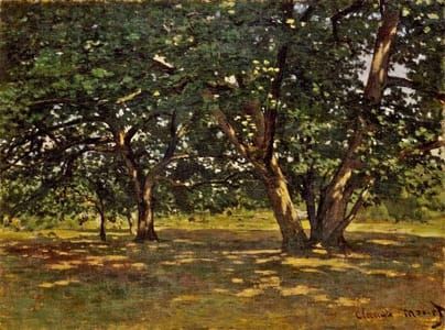 Artwork Title: Fontainebleau forest