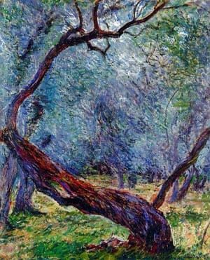 Artwork Title: Study of olive trees