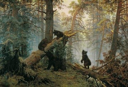 Artwork Title: Morning In A Pine Forest
