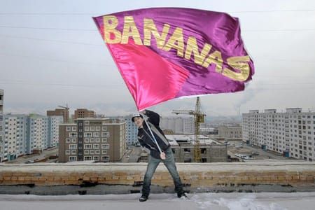 Artwork Title: Bananas