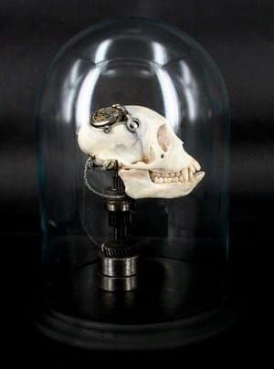 Artwork Title: Departed Skull