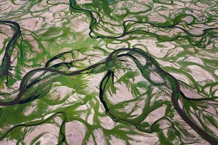 Artwork Title: Tuul River, Mongolia