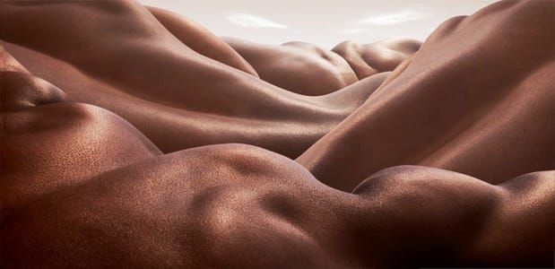 Artwork Title: Bodyscapes