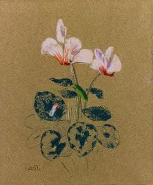 Artwork Title: Cyclamen