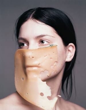 Artwork Title: Cheese