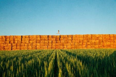 Artwork Title: Haystacks (Grassy)