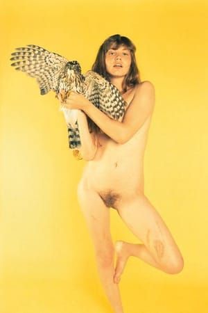 Artwork Title: Amanda (Hawk)