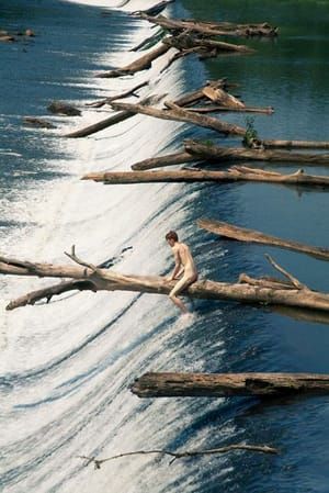 Artwork Title: William (floating Trees)