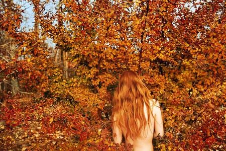 Artwork Title: Leaves (Fall)