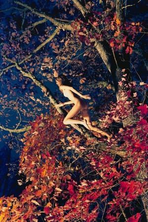 Artwork Title: Marieke (Fall Foliage)