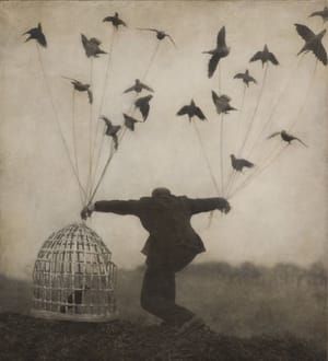 Artwork Title: Flying Lesson
