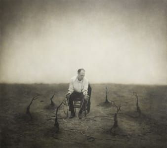 Artwork Title: Earth Elegies