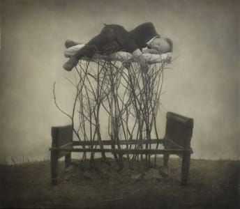 Artwork Title: Forestbed
