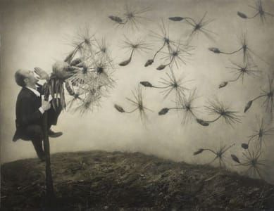 Artwork Title: Pollination