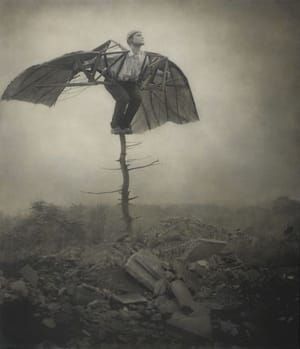 Artwork Title: Da Vinci's Wings