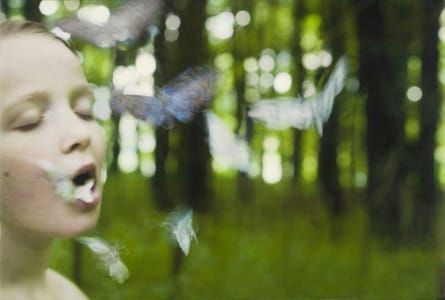 Artwork Title: Elegy