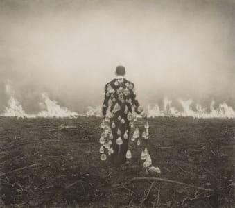 Artwork Title: Burn Season