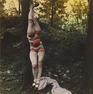 Artwork Title: Untitled