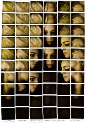 Artwork Title: Lady Gaga