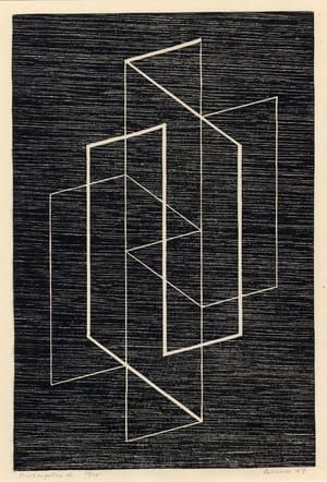 Artwork Title: Multiplex A
