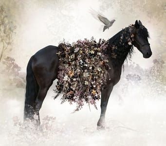 Artwork Title: Untitled