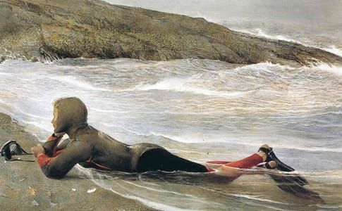 Artwork Title: Diver