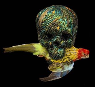Artwork Title: Skull With ..