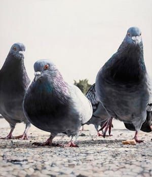 Artwork Title: Pigeons