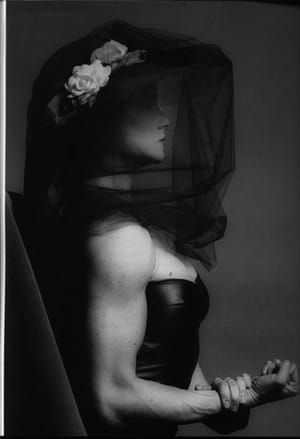Artwork Title: Portrait of a lady