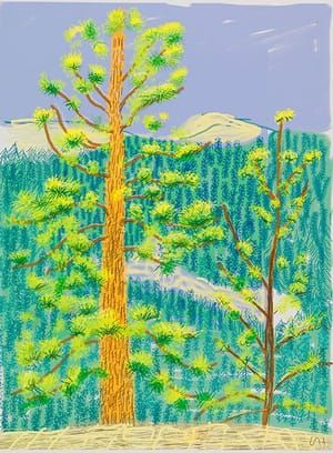 Artwork Title: Untitled No.8  from The Yosemite Suite