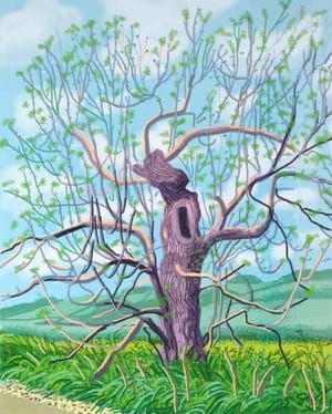 Artwork Title: Arbol