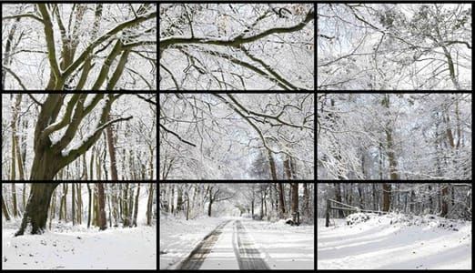 Artwork Title: Woldgate Woods