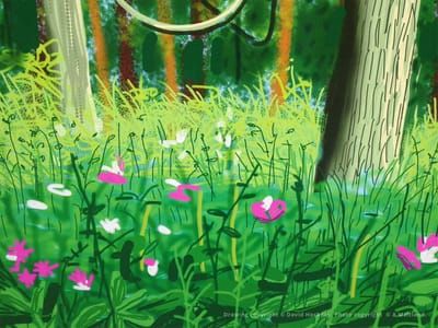 Artwork Title: Bosque Y Flores