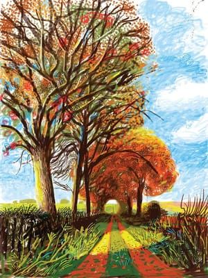 Artwork Title: Camino Y Árboles