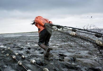 Artwork Title: The mud set