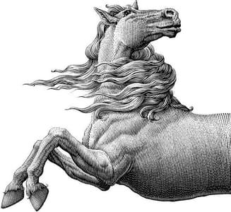 Artwork Title: Horse
