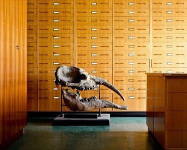 Artwork Title: Mastodon From Skeletons In The Closet Series