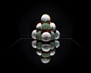 Artwork Title: Untitled