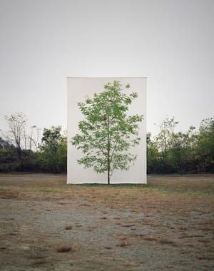 Artwork Title: Tree #9